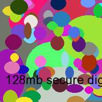 128mb secure digital karte