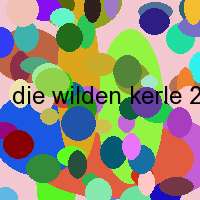 die wilden kerle 2 bilder